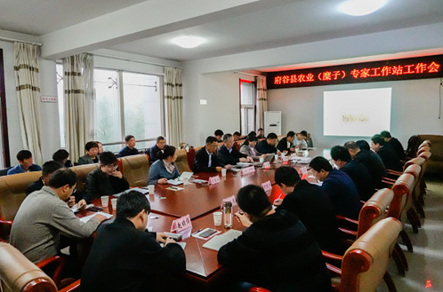 adc50dabc54a4ed18e633a1858172ff3.png image.png