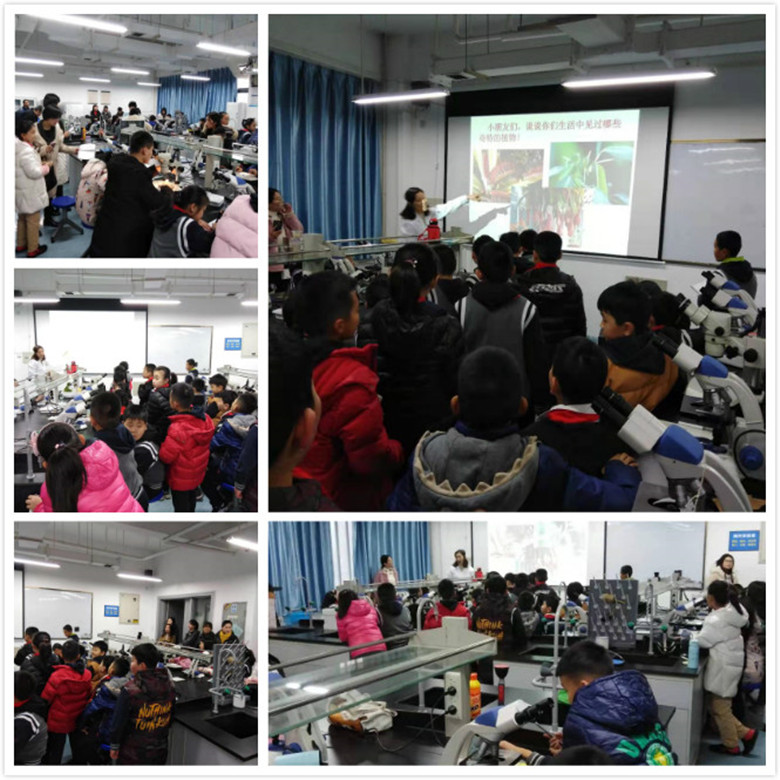 3164631f710145e1a288650a585025d4.jpg 参观学习图片_副本.jpg