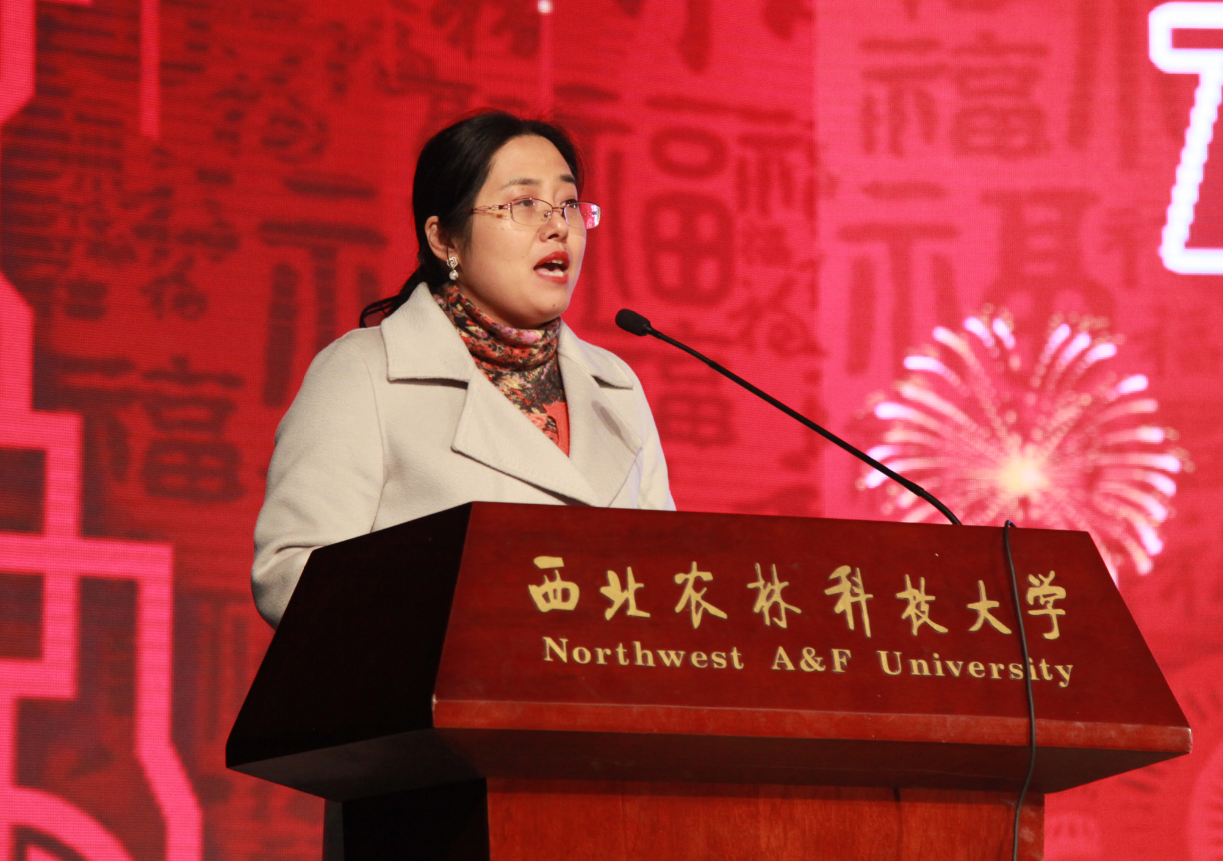 32563cb90ff44ba8ad226de6f2e93234.png 32563cb90ff44ba8ad226de6f2e93234.png