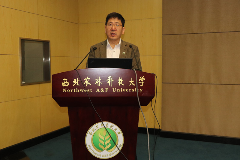 f8a973ec25e047328158e28612e45775.jpg shan.jpg