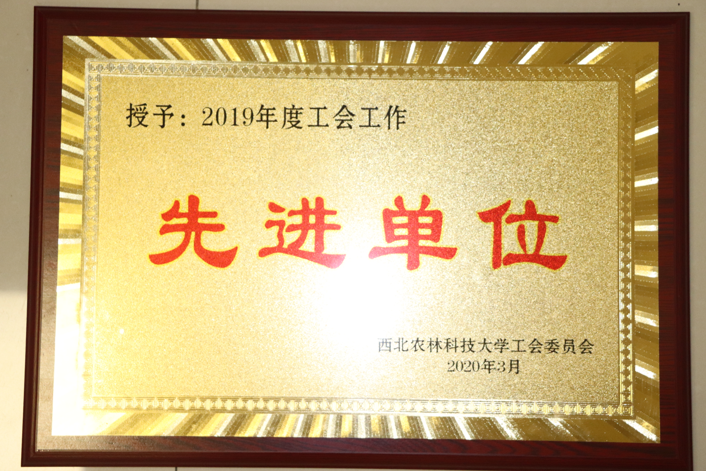 94f53f7177684bff8424d356efad454f.jpg 94f53f7177684bff8424d356efad454f.jpg