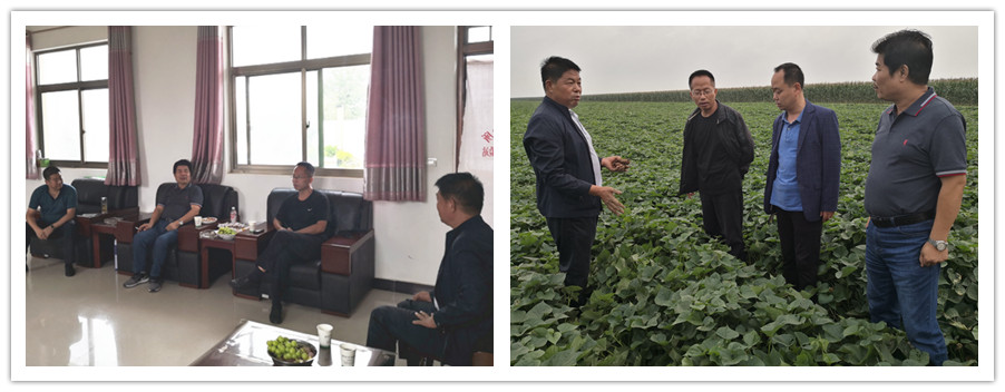 aa9f44883e1847bda76881ef7417e0c4.jpg IMG_20200820_160547_副本.jpg