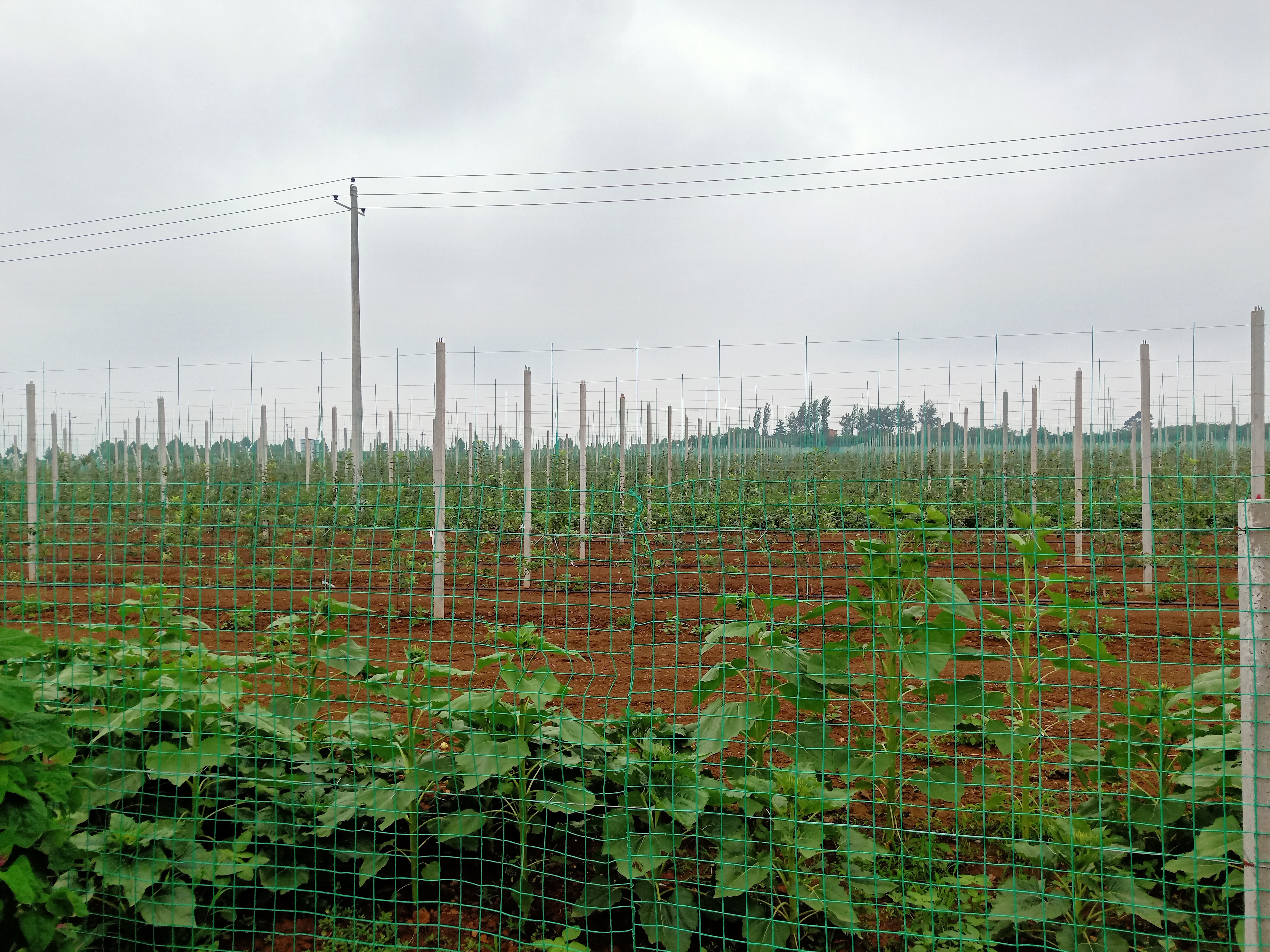 ddd63f5c51cf4b7189746f2b7a369b1e.jpg ddd63f5c51cf4b7189746f2b7a369b1e.jpg