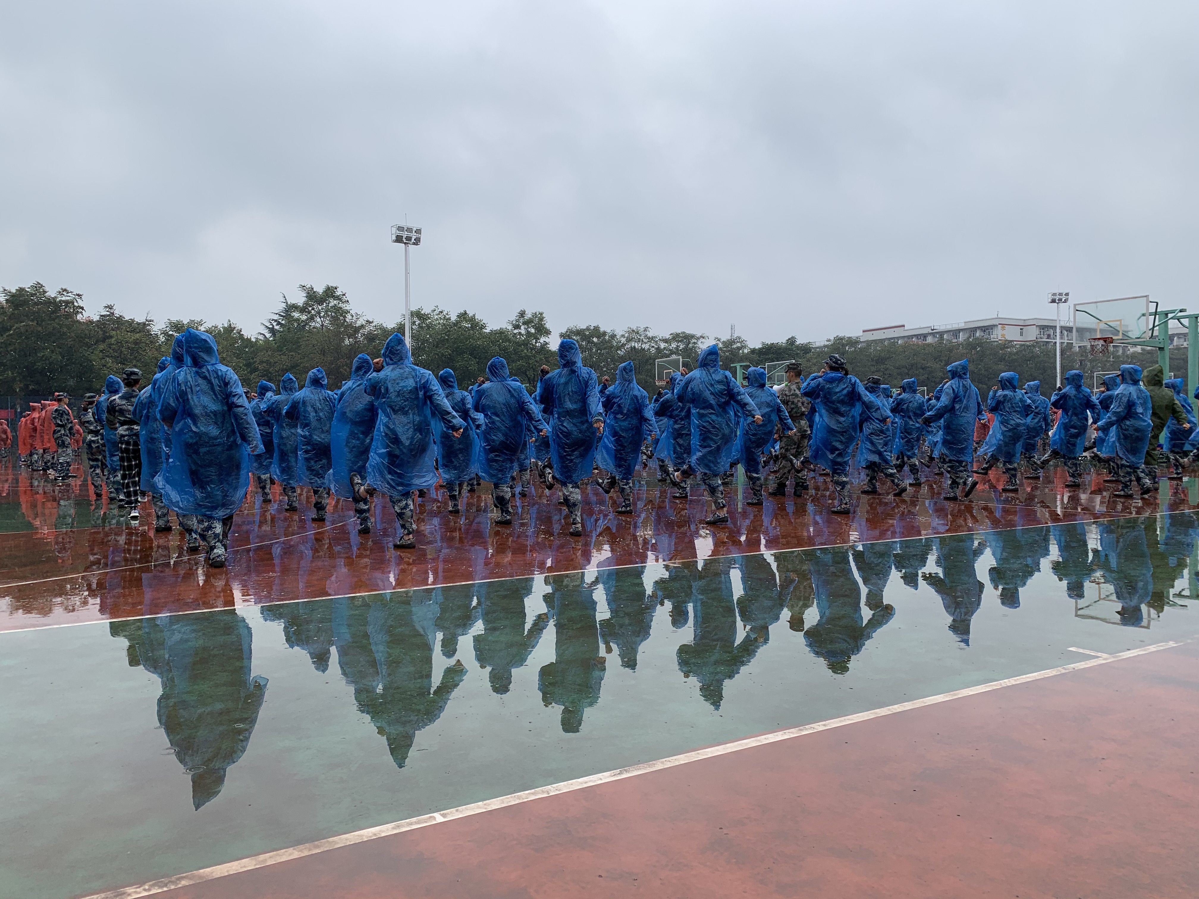 08fc2fefcced4ea5be2064ef83441f7c.jpg 08fc2fefcced4ea5be2064ef83441f7c.jpg