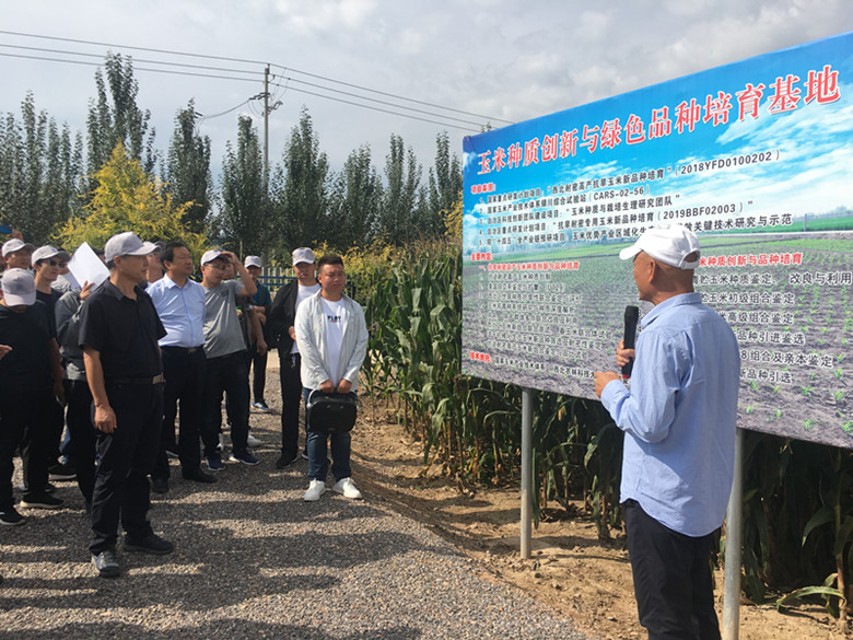 d2df96a53df44a76a7fe636e1d294980.jpg 田间观摩_副本.jpg