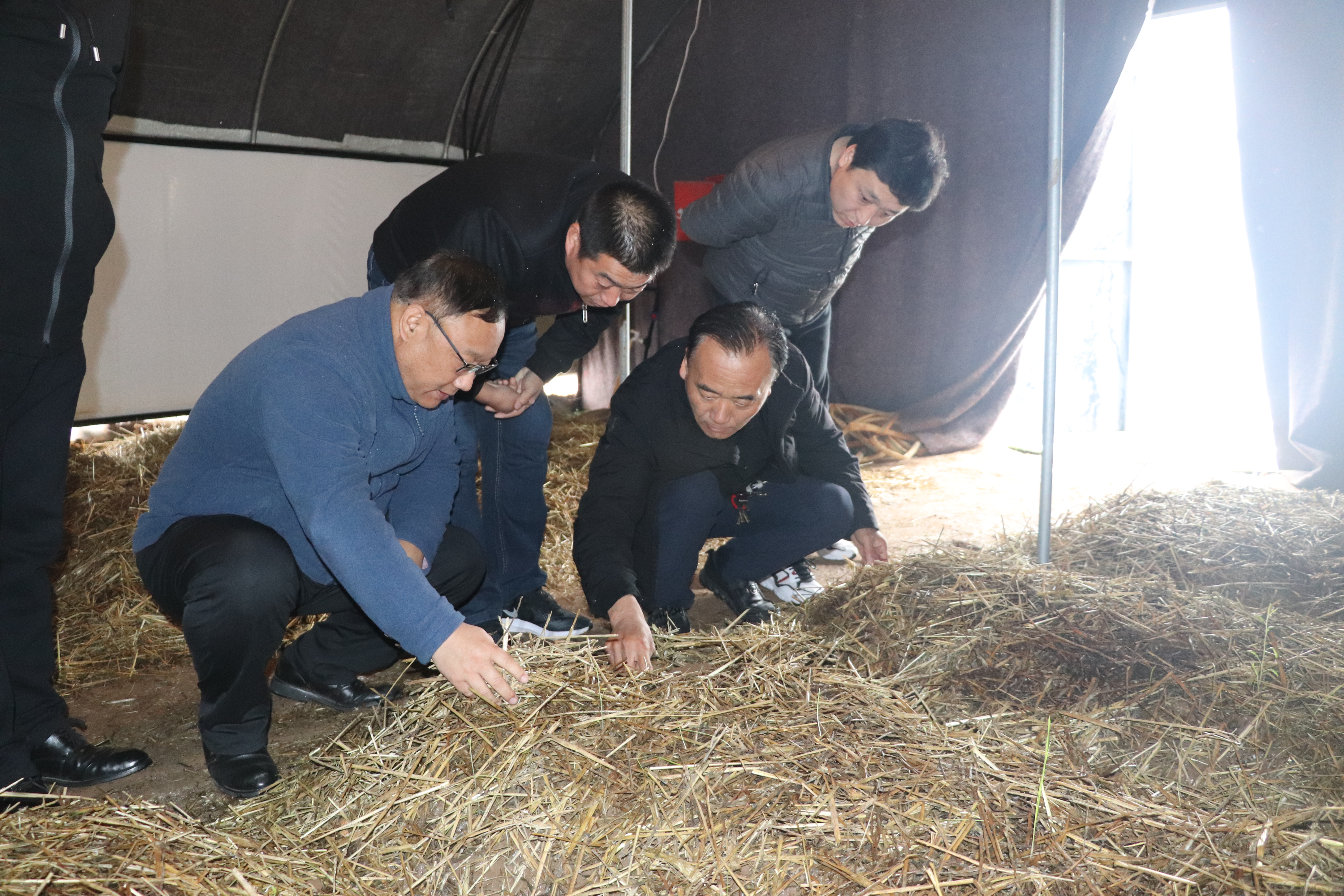 912291d9a3f747c2a025a78770f3bb0b.jpg 912291d9a3f747c2a025a78770f3bb0b.jpg