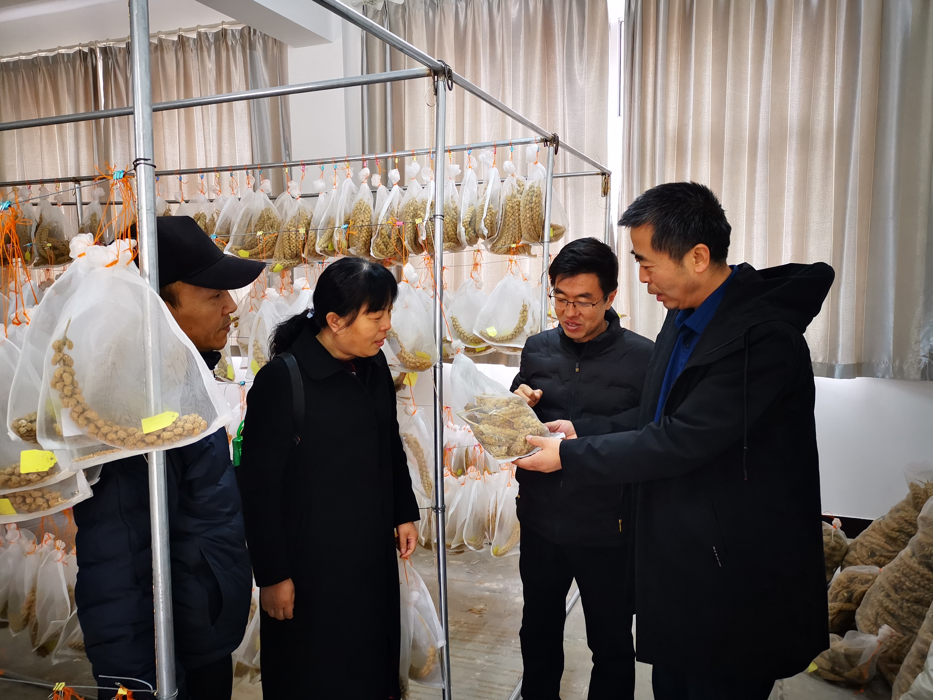 4fdf2626f64d499b913568a4af3343a1.jpg 4fdf2626f64d499b913568a4af3343a1.jpg