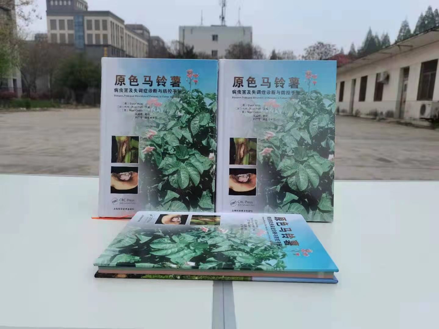 6c23721d402d4ffba9048d594d205148.jpg 6c23721d402d4ffba9048d594d205148.jpg