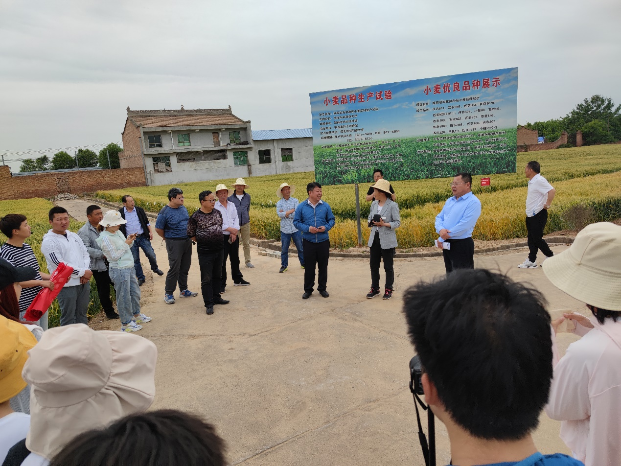 0c4346539d464f179d401c8f00484811.png 0c4346539d464f179d401c8f00484811.png