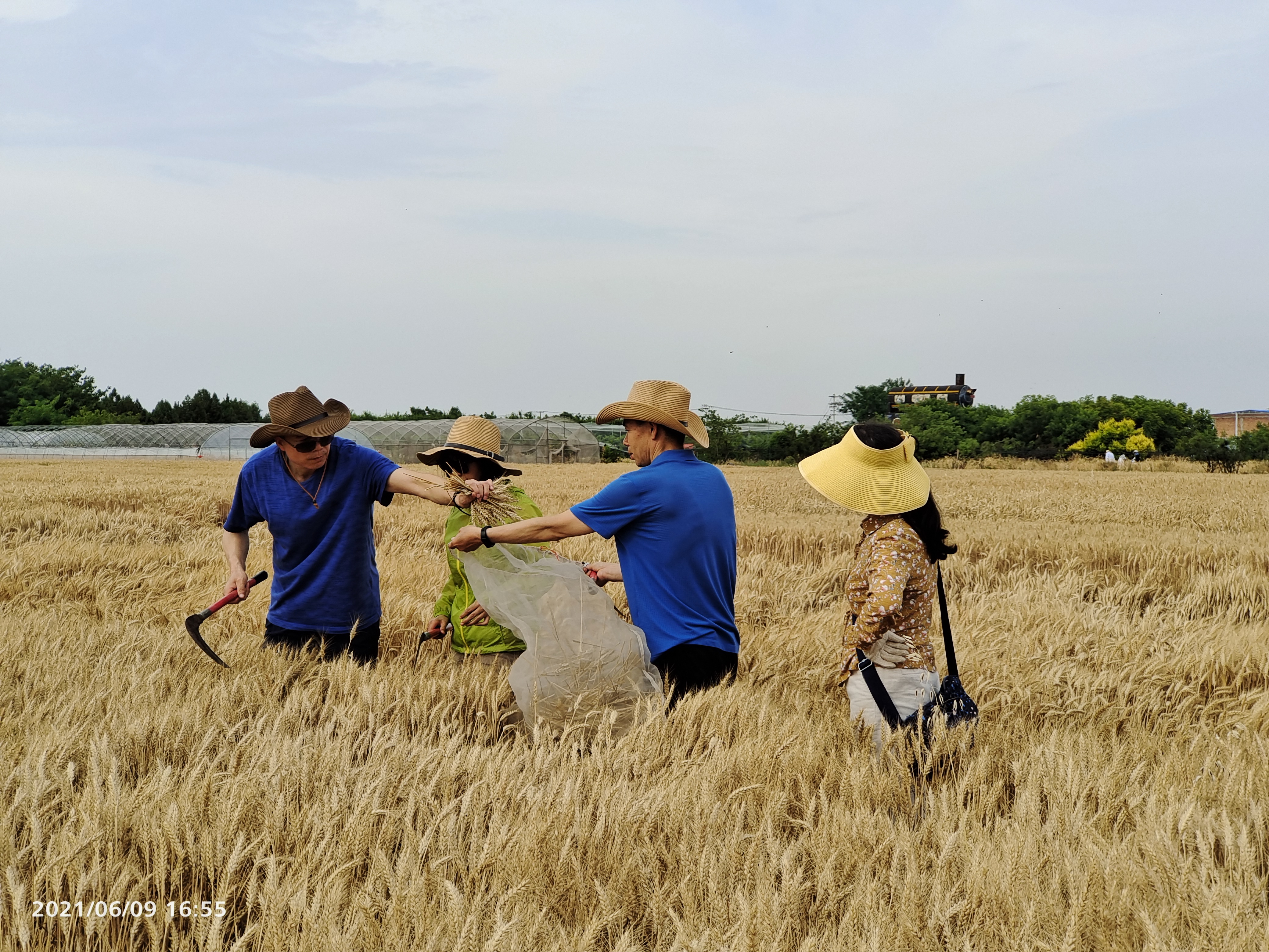 5c21893d62084313b35ed8614d201ff7.jpg 5c21893d62084313b35ed8614d201ff7.jpg