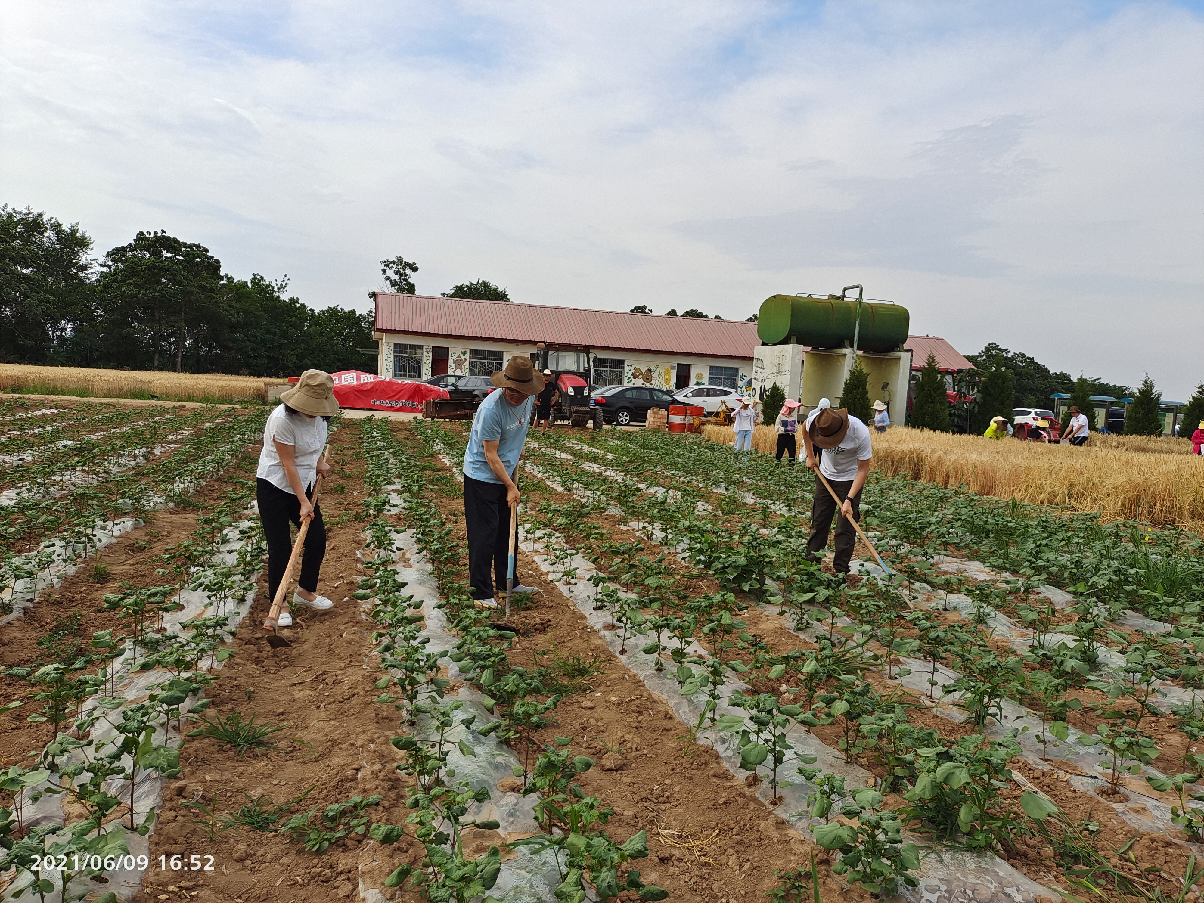 b4b0d53628474125ad56a3fd1902a43f.jpg b4b0d53628474125ad56a3fd1902a43f.jpg