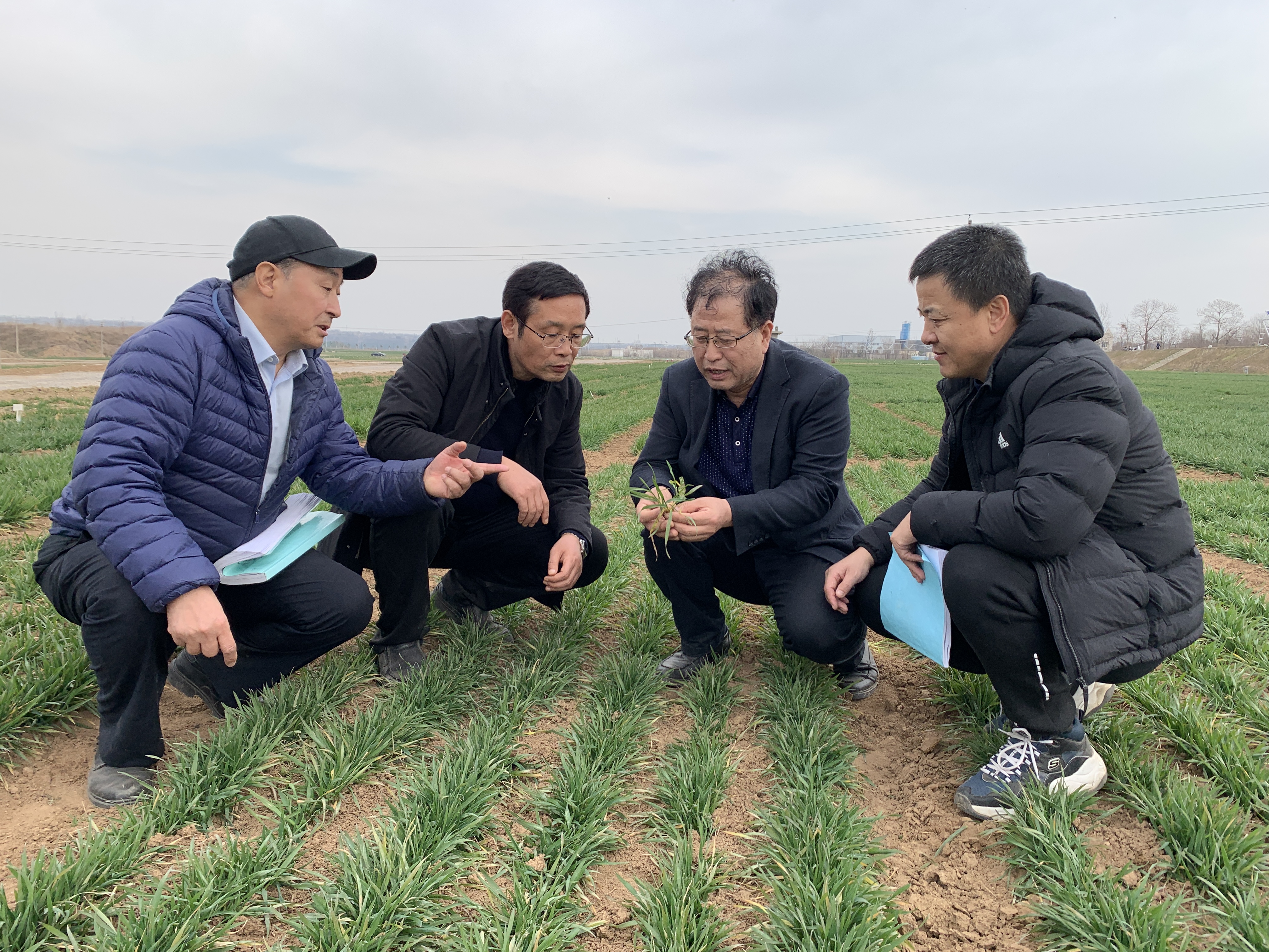 000dc4b1953a4b0daf10ca2de19f42c7.jpg 000dc4b1953a4b0daf10ca2de19f42c7.jpg