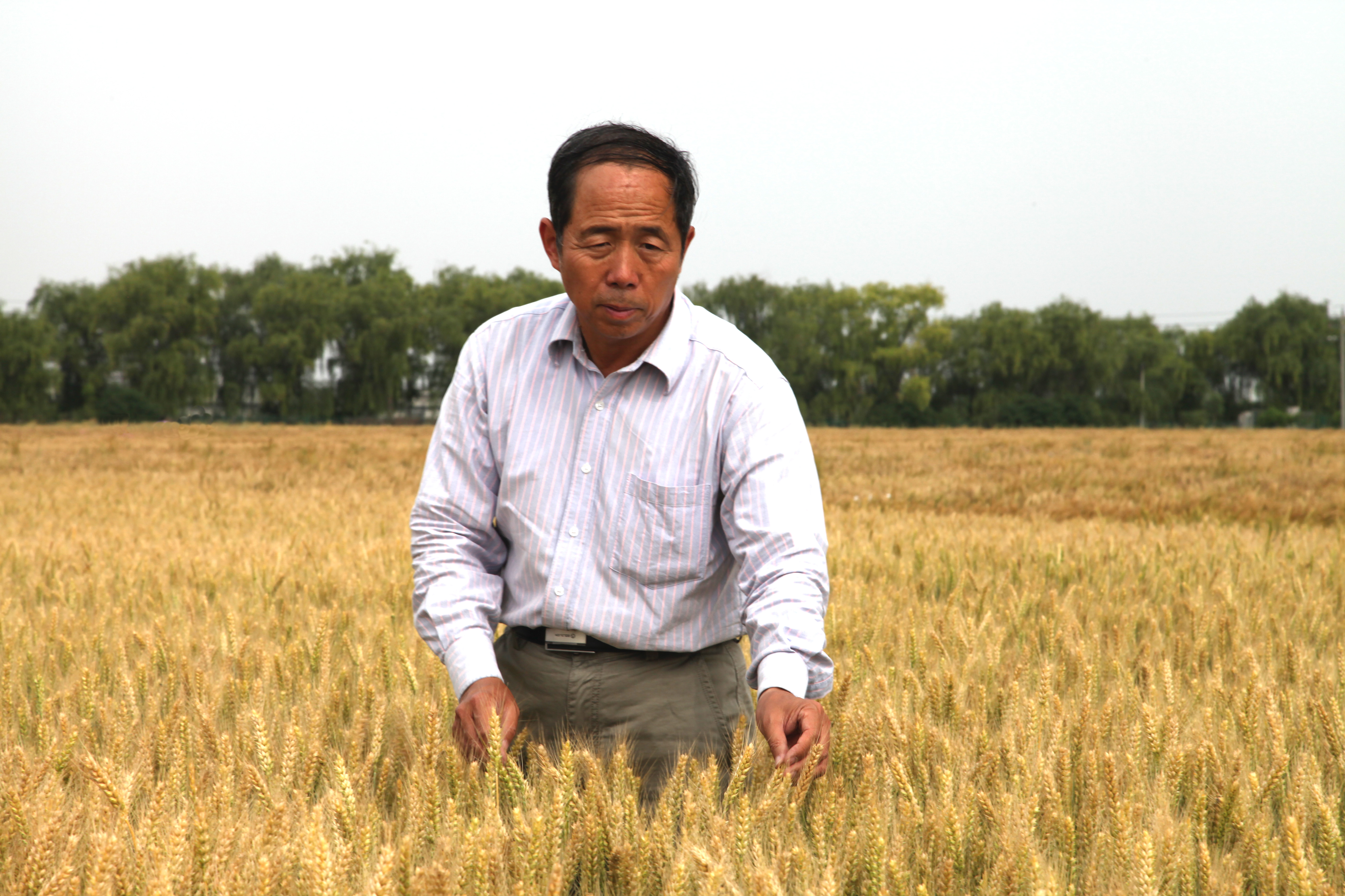 b45732d463504599ab776232915d2daf.jpg b45732d463504599ab776232915d2daf.jpg