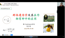 cbcd8fb29823485aacac276730bc510a.png image.png