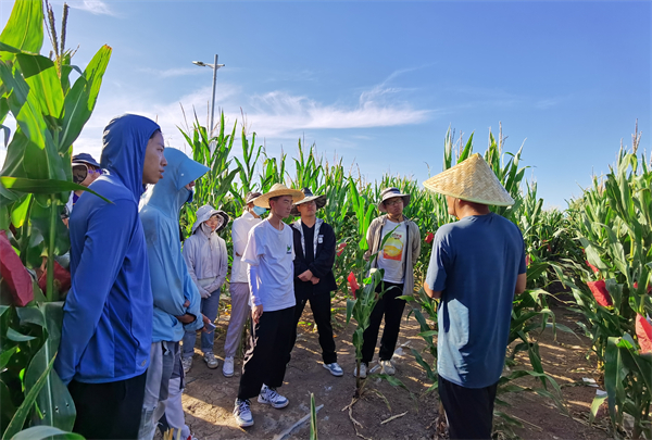 163f7304a4744f229ba70f762a97f5f2.jpg 观摩学习.jpg