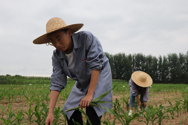 43f00b68210c4c79bb48a71ad7b0f592.jpg 组员在田间工作1_副本.jpg