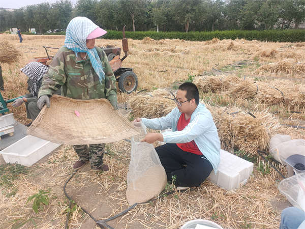 dd8001582c77451ebfbde0ac6fe63f62.jpg 田间测产.jpg