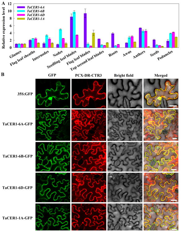 2966dc02c249425f9857a1f73f2f5c71.png 2966dc02c249425f9857a1f73f2f5c71.png