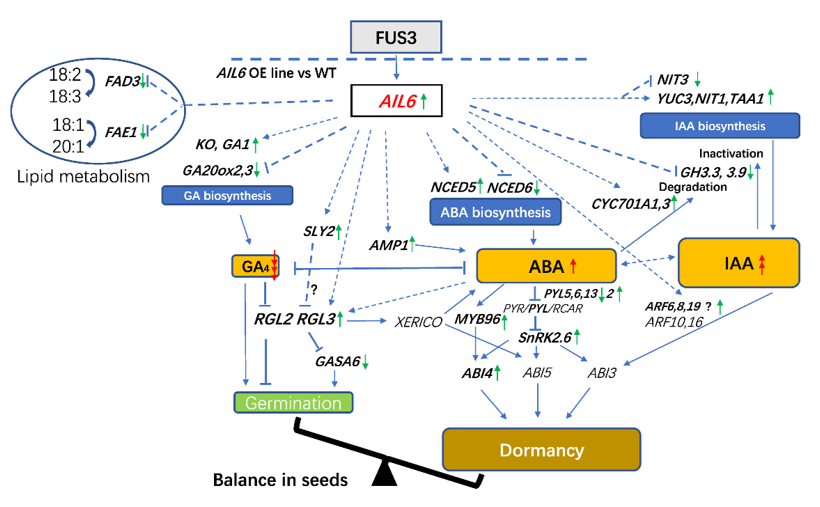 4db2d55bf5f54ea1afb25d5f4ad2ea8a.png 图片1.png