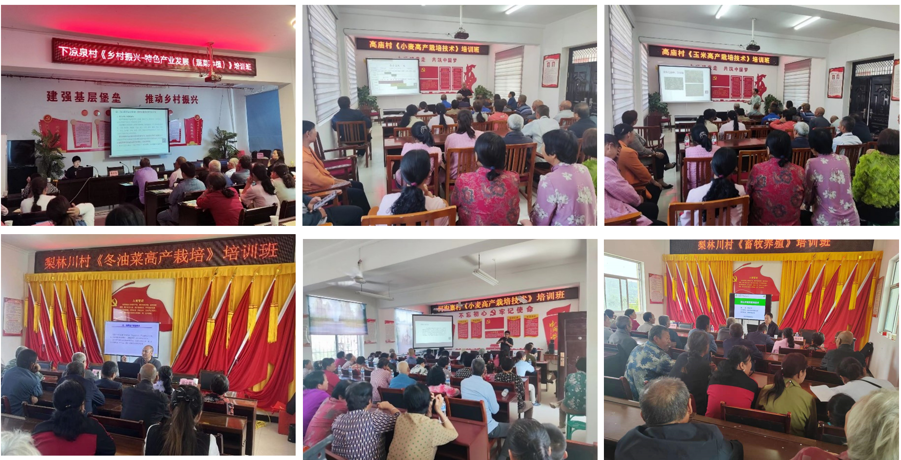 b4a65e78507a4cd6bdf2635b98d36e2b.png b4a65e78507a4cd6bdf2635b98d36e2b.png